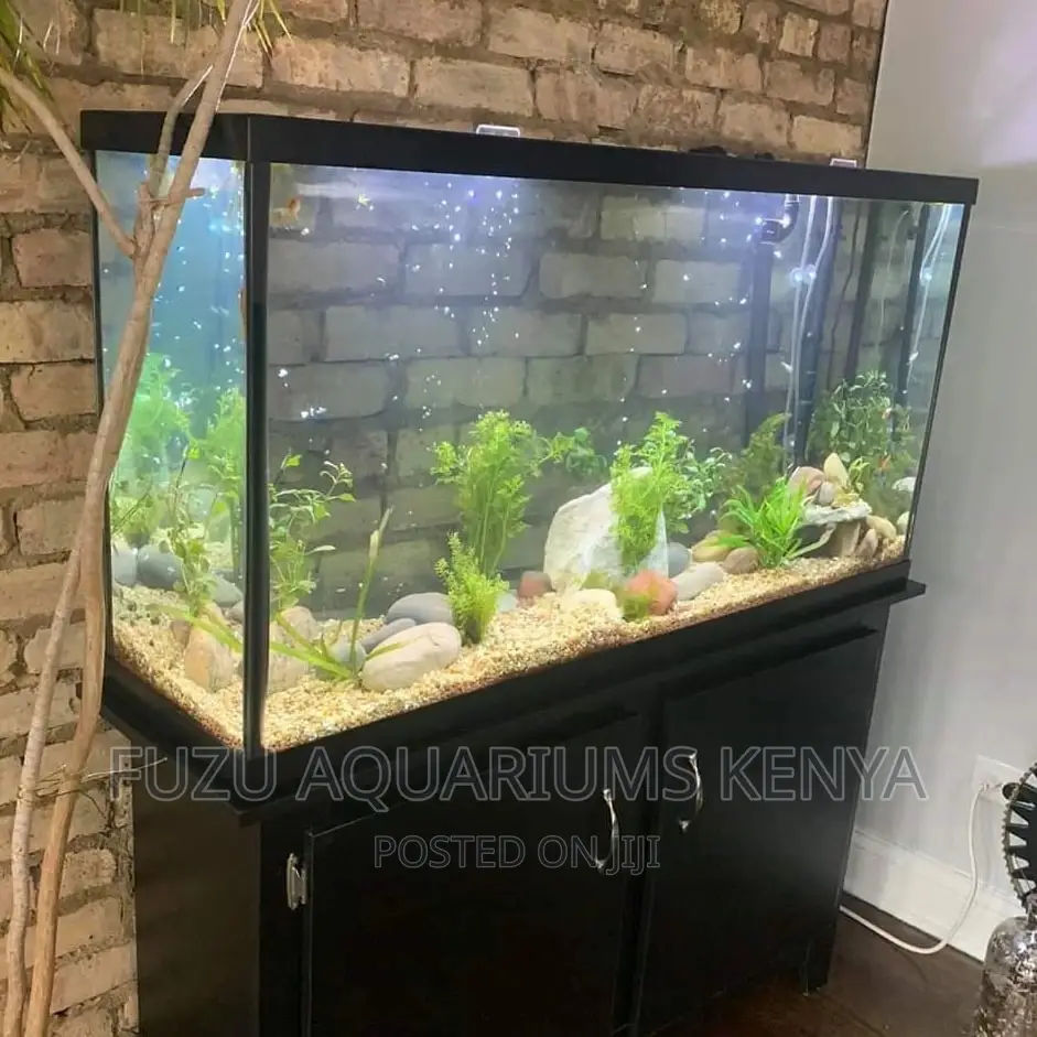Aquarium Great Height