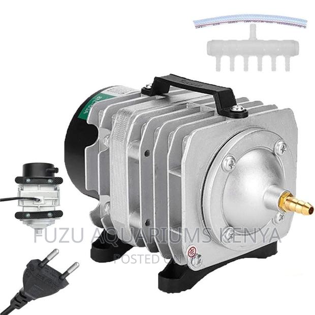 Air Compressor Pond - main view