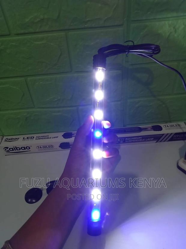 Aquarium Lights . - main view