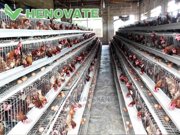 128 Hens Cage - thumbnail 3