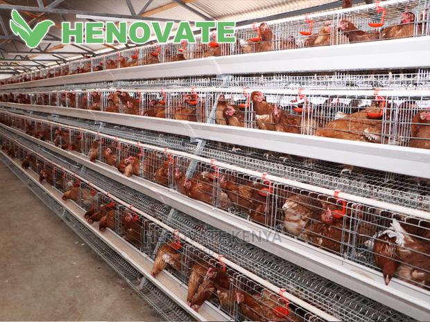 128 Hens Cage - main view