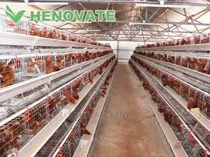 128 Hens Cage