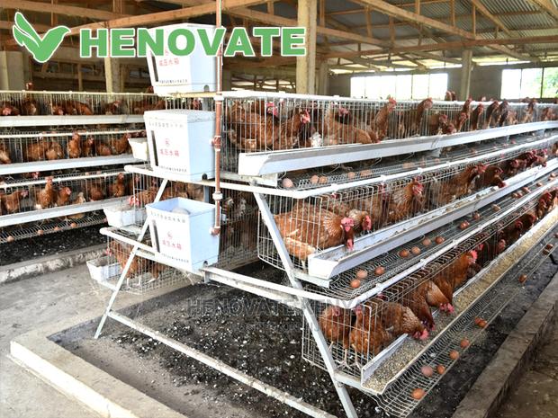 A Type Chicken Cages - thumbnail 5