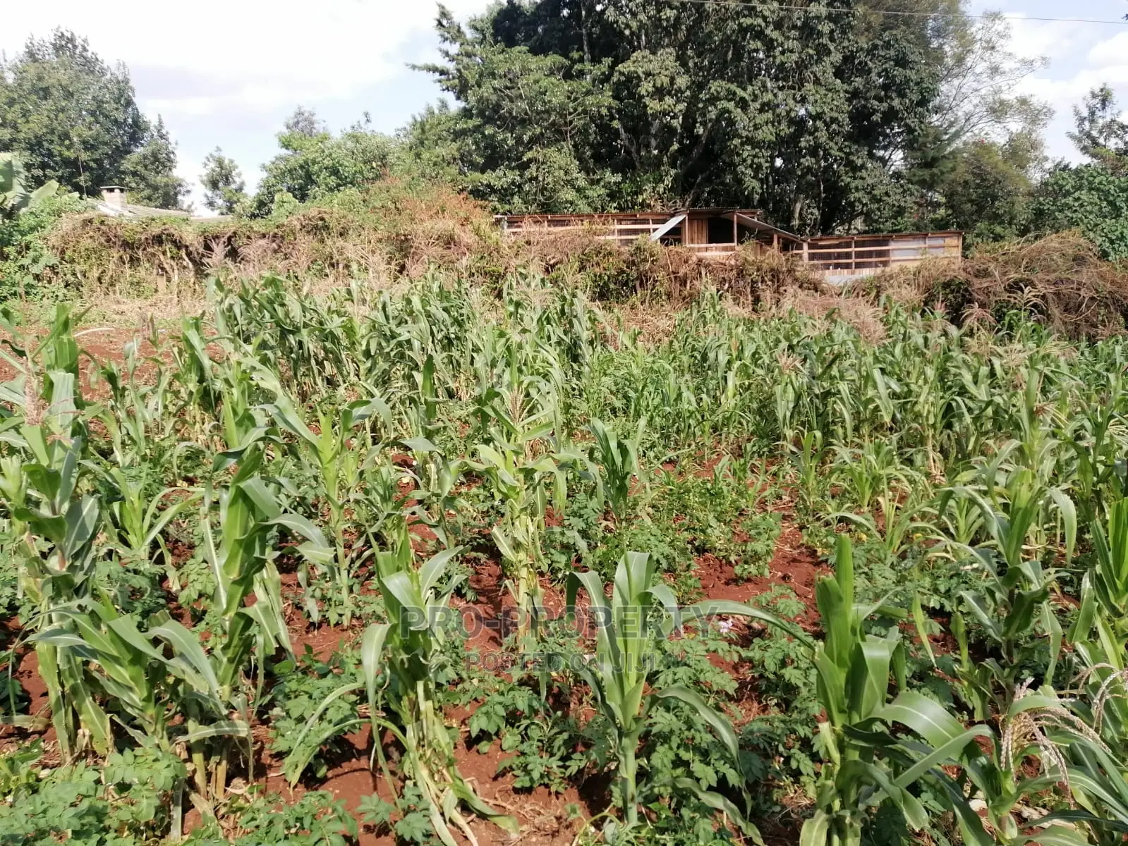 Prime 0.05 Ha Commercial Plot for Sale in Kikuyu Town.