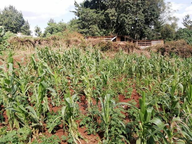 Prime 0.05 Ha Commercial Plot for Sale in Kikuyu Town. - thumbnail 7