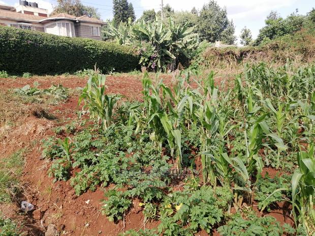 Prime 0.05 Ha Commercial Plot for Sale in Kikuyu Town. - thumbnail 8