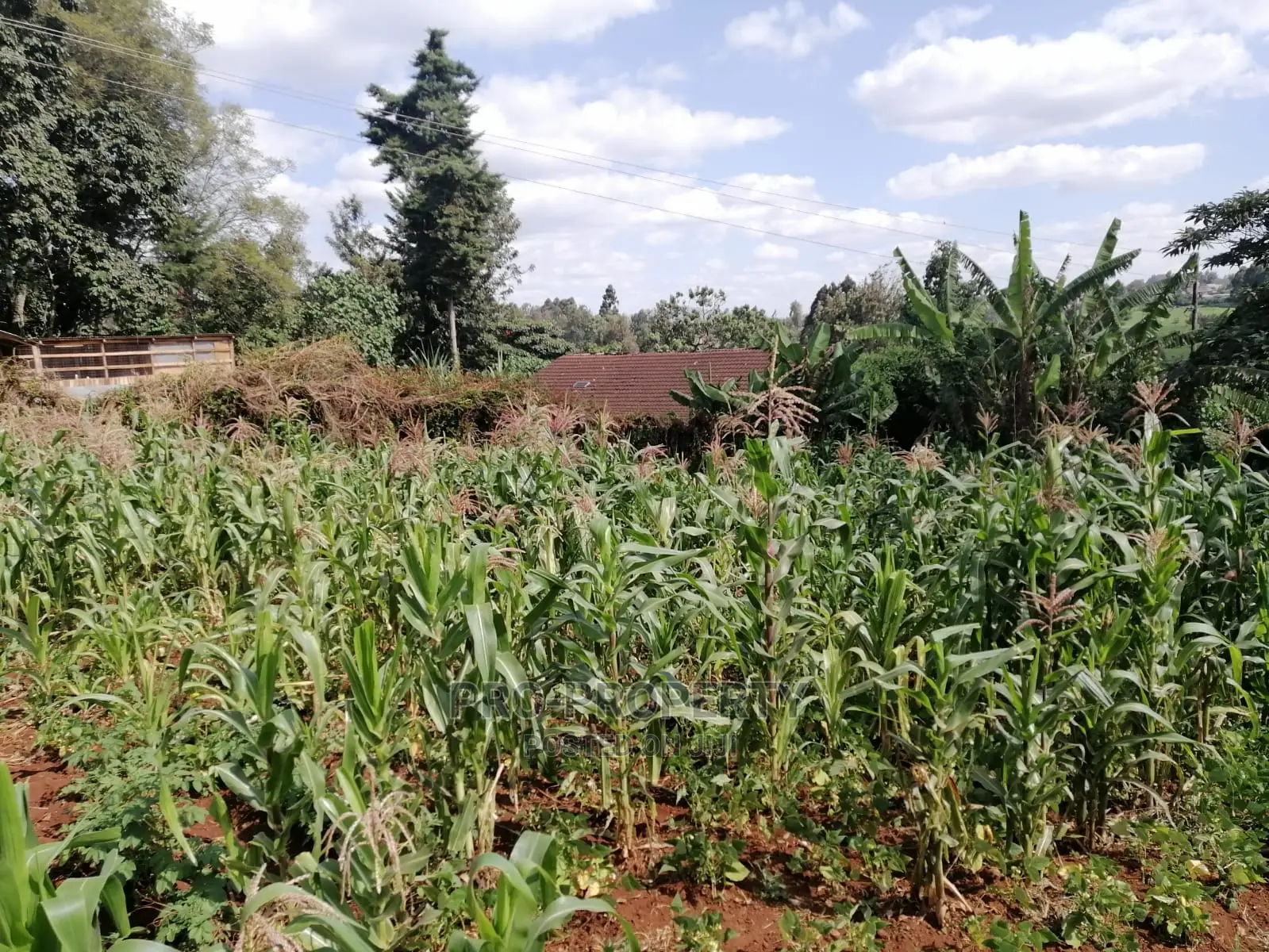 Prime 0.05 Ha Commercial Plot for Sale in Kikuyu Town.