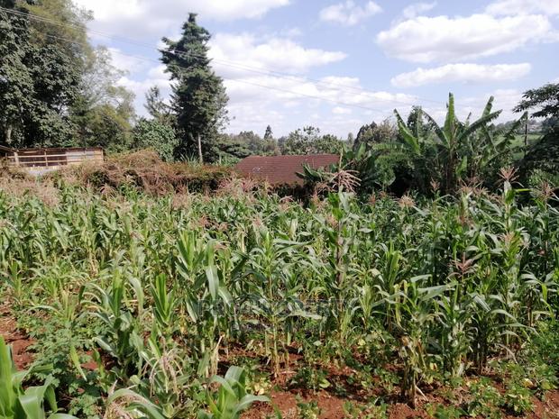Prime 0.05 Ha Commercial Plot for Sale in Kikuyu Town. - thumbnail 4