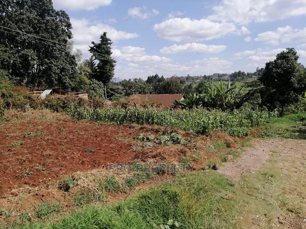 Prime 0.05 Ha Commercial Plot for Sale in Kikuyu Town. - thumbnail 5