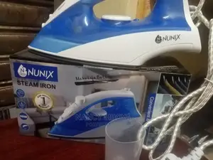 Nunix Steam Iron Box
