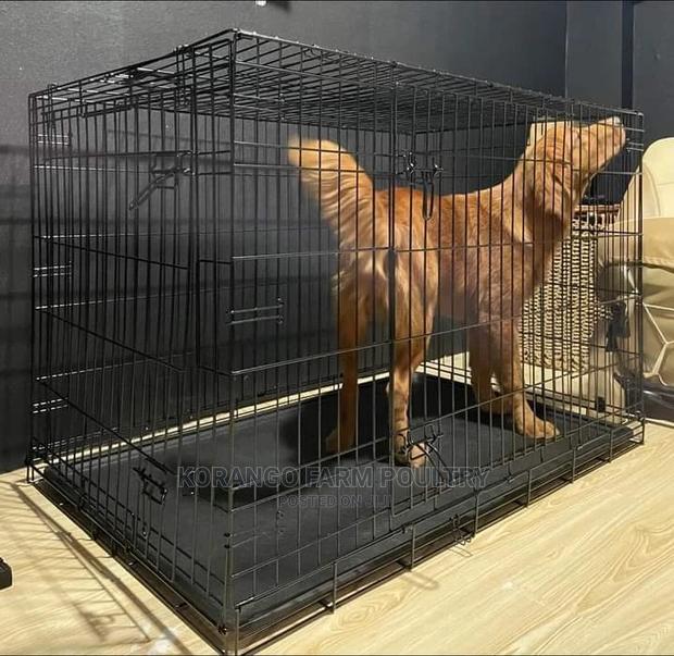 Extra Bigger Dog Cages - main view