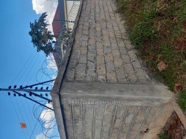 Affordable Galvanized Razor Wire for Perimeter Wall - main view