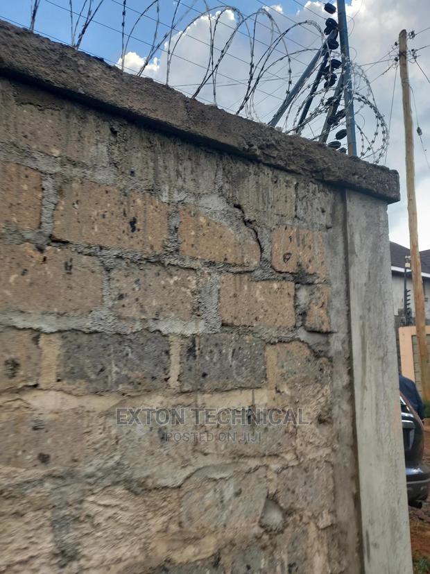 Galvanized Razor Wire For Fencing - main view