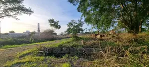 50/100 Plot on Sale in Kikambala Highway
