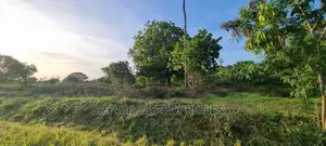 50/100 Plot on Sale in Kikambala Highway