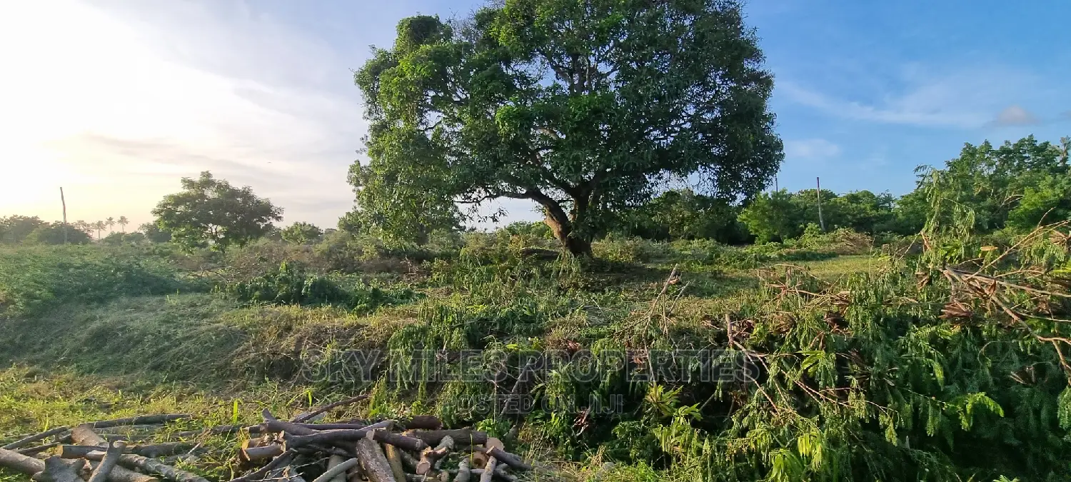 50/100 Plot on Sale in Kikambala Highway
