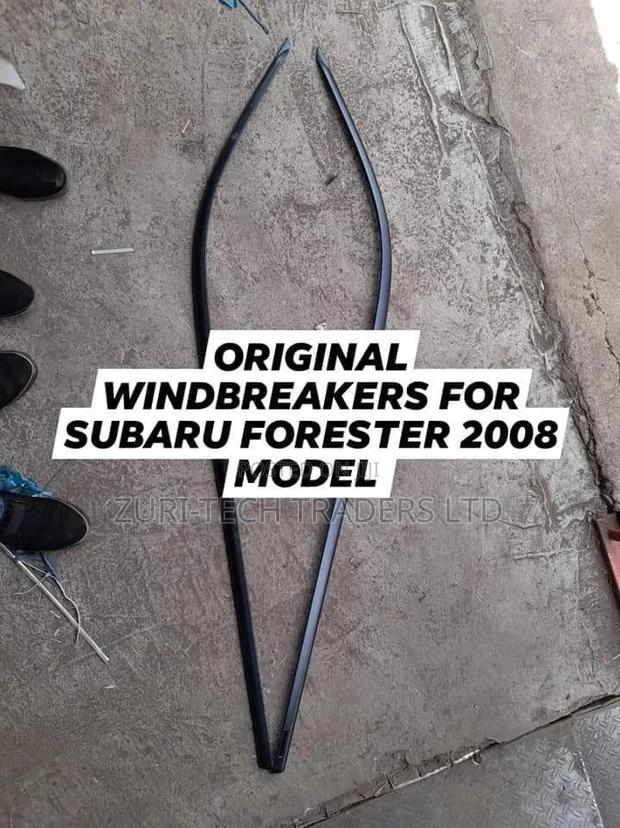 Windbreakers - thumbnail 2