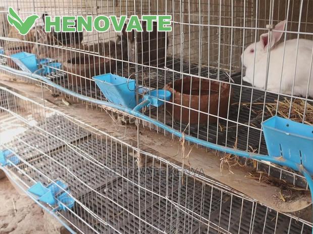 Rabbit Cages - thumbnail 3