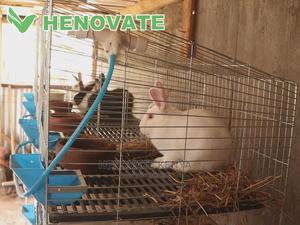 Rabbit Cages - thumbnail 2