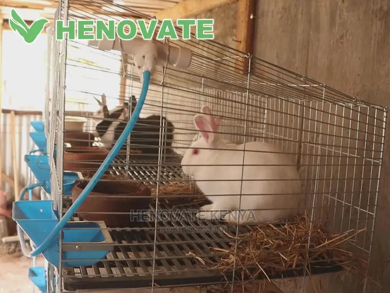 Rabbit Cages in Ruiru Farm Machinery & Equipment, Henovate Kenya