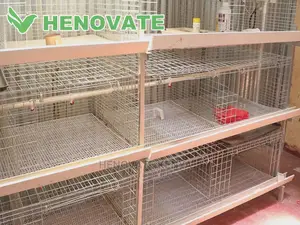 IMPROVED KIENYEJI/Broiler Cage