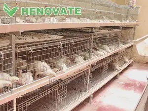 IMPROVED KIENYEJI/Broiler Cage