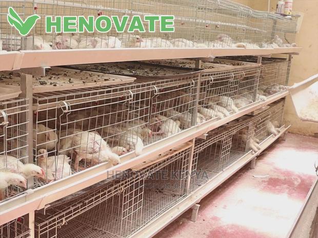 IMPROVED KIENYEJI/Broiler Cage - thumbnail 5