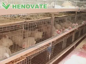 IMPROVED KIENYEJI/Broiler Cage