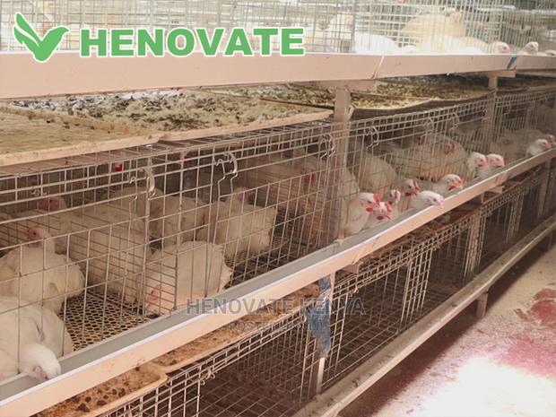 IMPROVED KIENYEJI/Broiler Cage - thumbnail 3