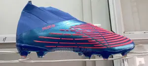 Predator Edge + FG Boots