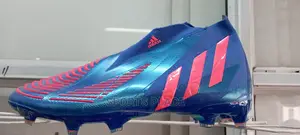 Predator Edge + FG Boots