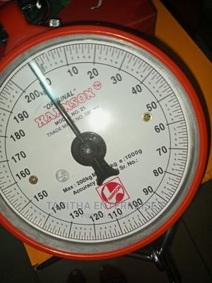 Hanson Hanging Scale - main view