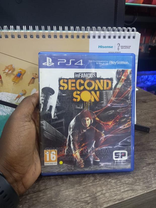 Ps4 Infamous Second Son - main view
