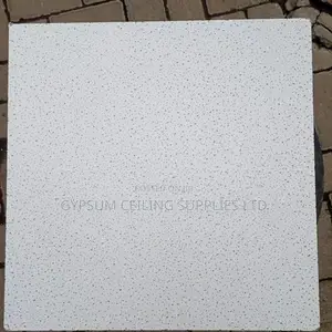 Armstrong Acoustic Ceiling Tiles 600*600mm*15mm