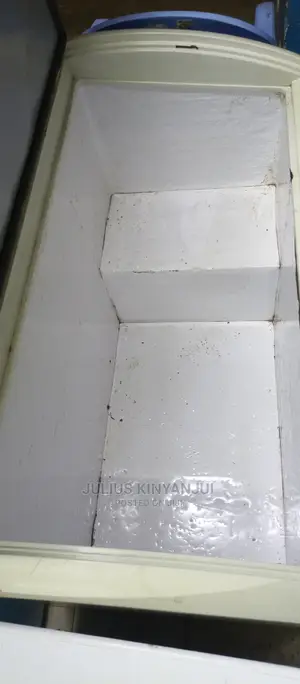400l Deep Freezer