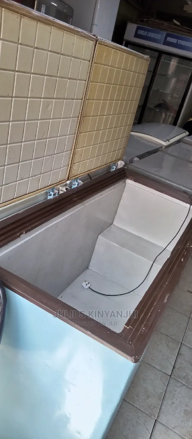 Double Door Freezer