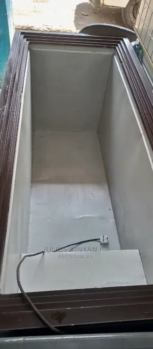 Double Door Freezer