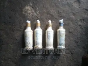 Mushroom Spawns (Seeds Or Grow Kits)