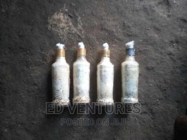 Mushroom Spawns (Seeds Or Grow Kits) - thumbnail 6