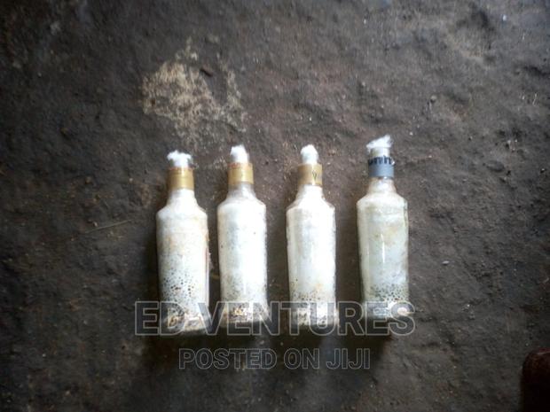 Mushroom Spawns (Seeds Or Grow Kits) - main view