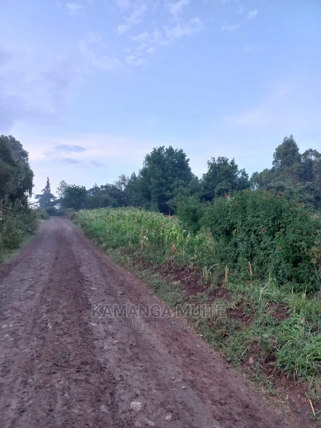 New Month Offer. 1acre Land in Mai-Ihii Gikambura.