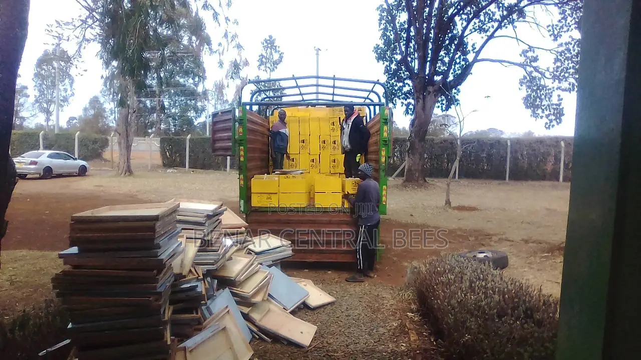 (Cypress Timber) Modern Langstroth Bee Hives Manufacturers