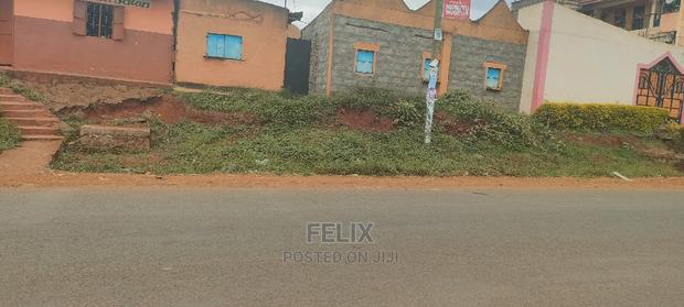 Karatina /Muthua Town - main view