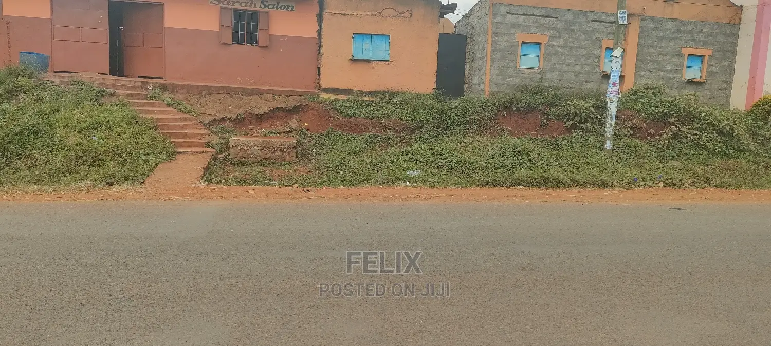Karatina /Muthua Town