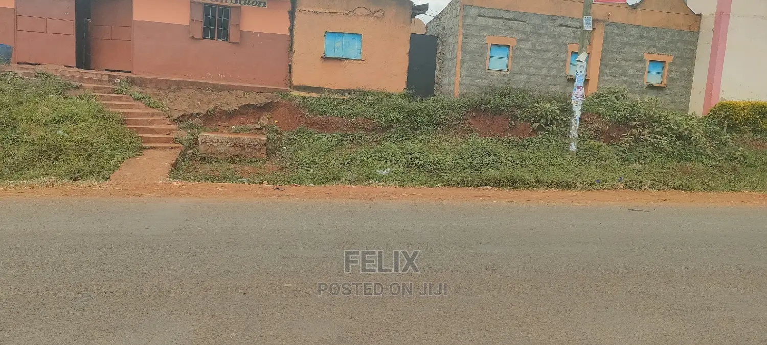 Karatina /Muthua Town