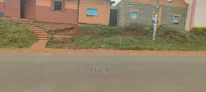 Karatina /Muthua Town