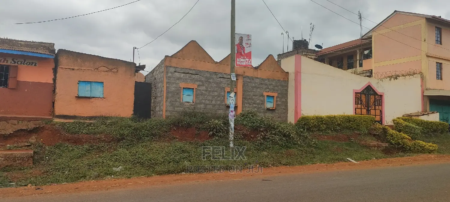 Karatina /Muthua Town