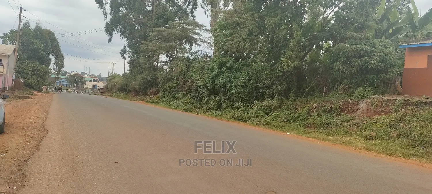 Karatina /Muthua Town