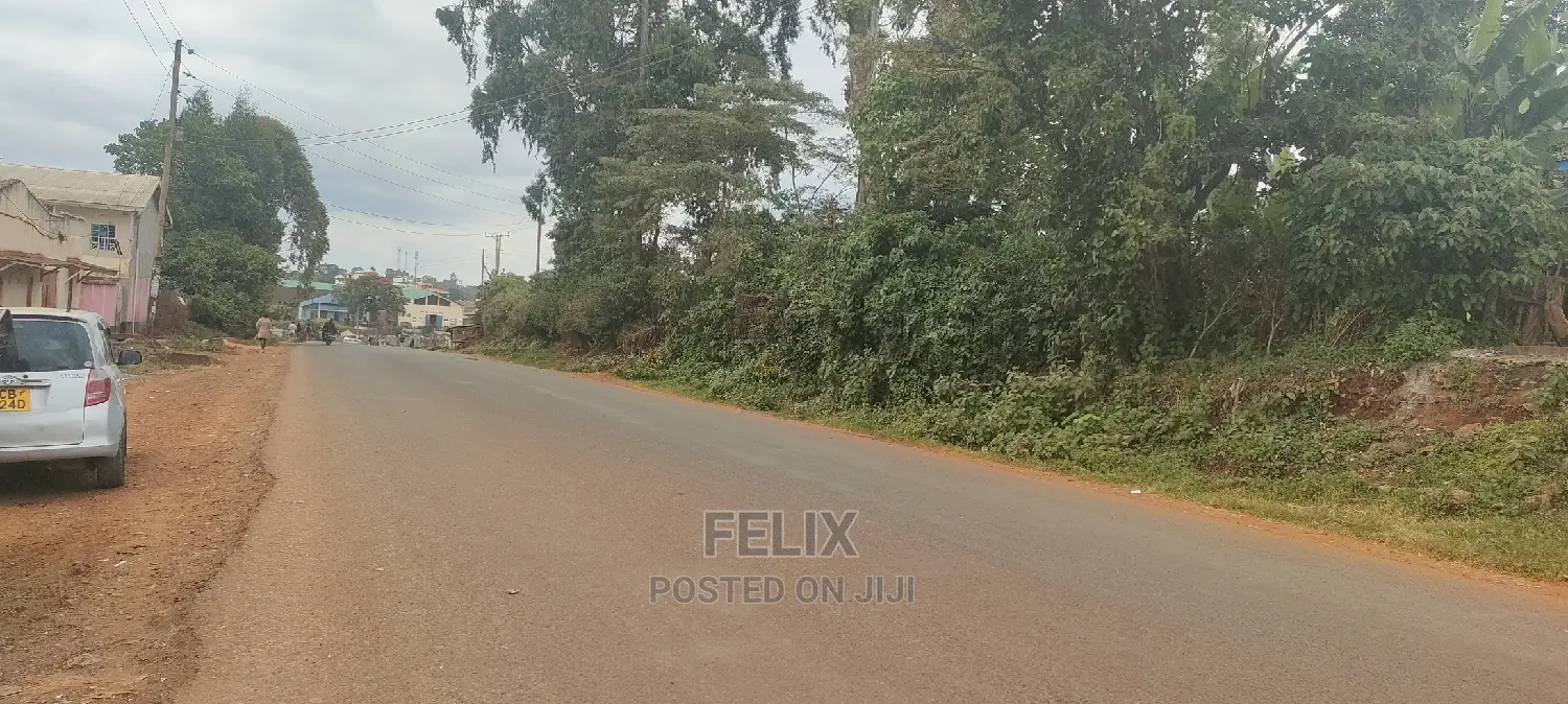 Karatina /Muthua Town