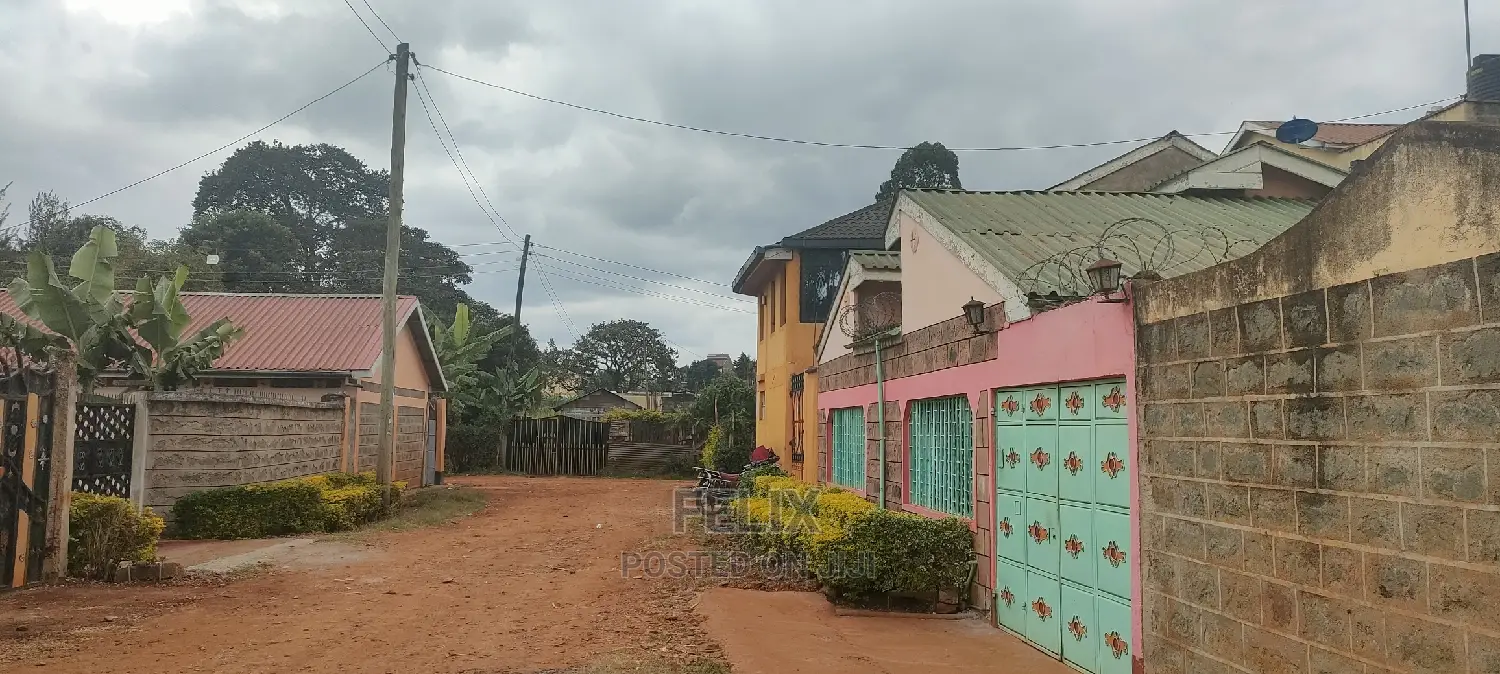 Karatina /Muthua Town